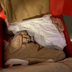 Travis Scott 6s