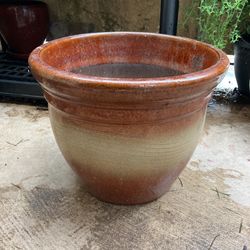 Pot And Plant