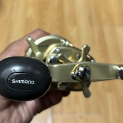 Shimano Trinidad 14