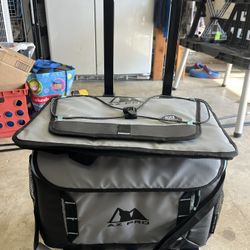 Cooler Bag