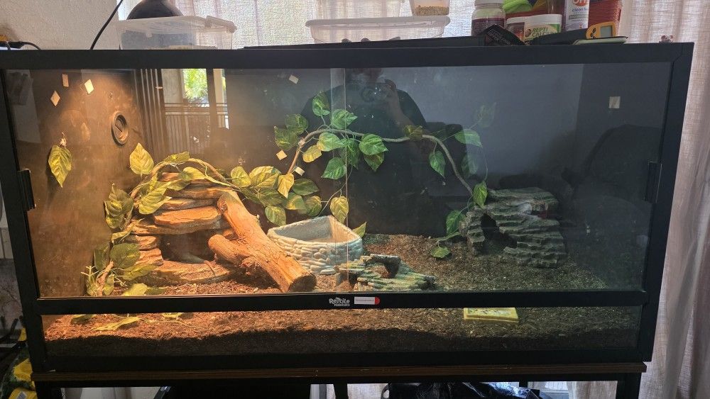 Reptile Enclosure