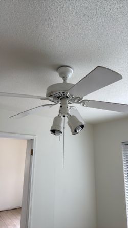 Fans