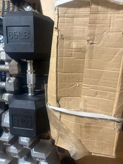 65lb dumbbells