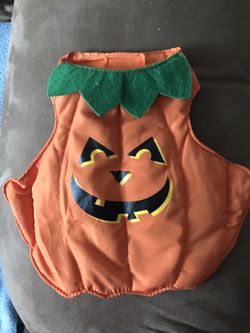 Pumpkin dog suit
