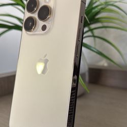 14 Pro 
