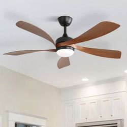 Indoor/Outdoor 5 Blade LED Light Ceiling Fan