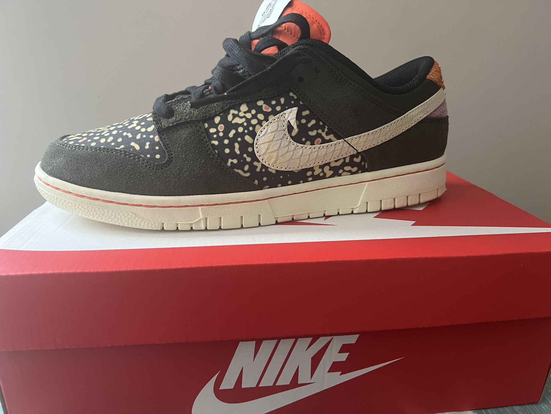 Nike Dunk Rainbow Trout