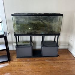 55 Gallon And Stand,  Moving Must Go.