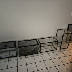 Several Tanks For Fish Or Reptiles