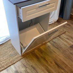 Trash Can Cabinet Tilt Out With Ionizer 