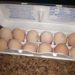 Fresh Farm Eggs For Sale 