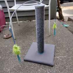 Cat Toy/Scratcher