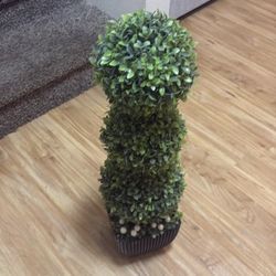 Small Tree