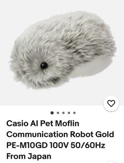 Pet Robot