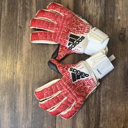 Goalie Gloves