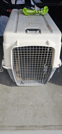 Dog Kennel