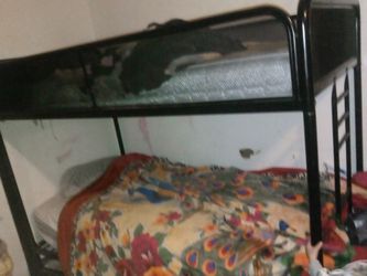 Tools, Dresser's, Couches, 2 Sets Of Bunk  Beds, MOVING  Everything Must Goooooo