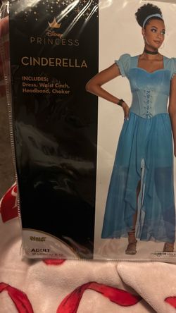 Cinderella costume