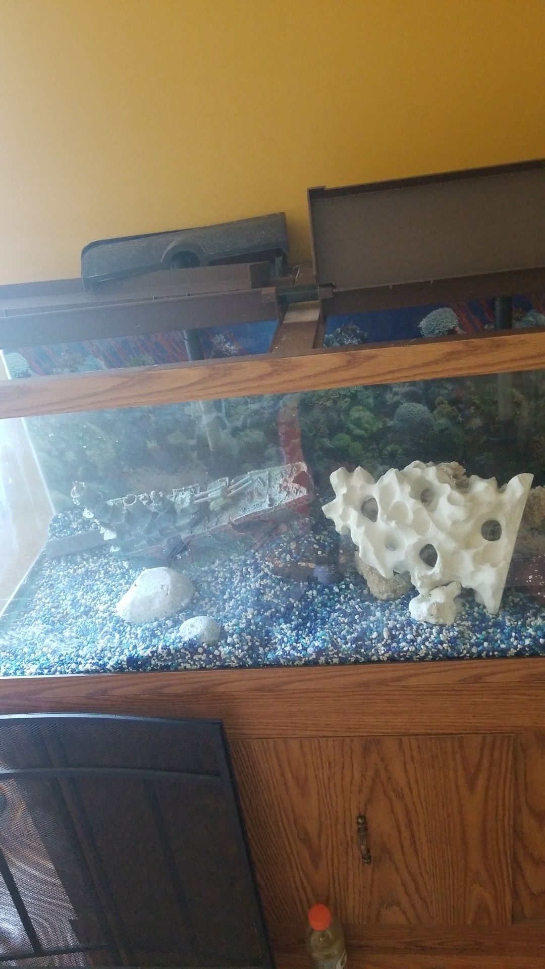75 gallon fresh water aquarium