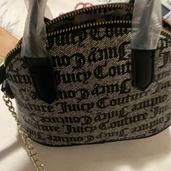Juicy Couture Small Purse