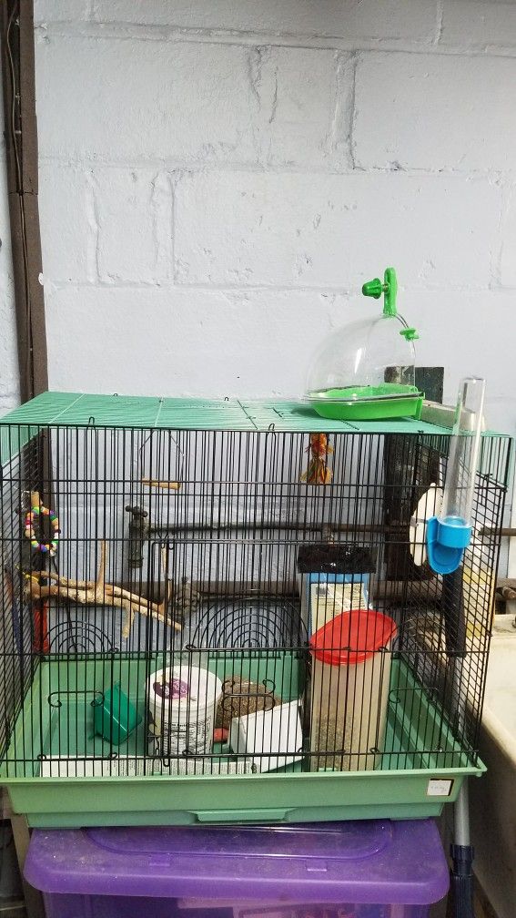 Bird Cage With Accessories