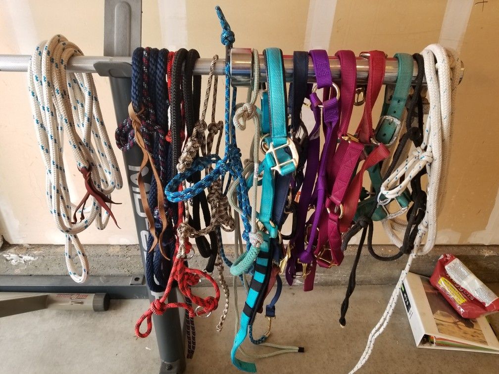 Horse tack pm for pricing