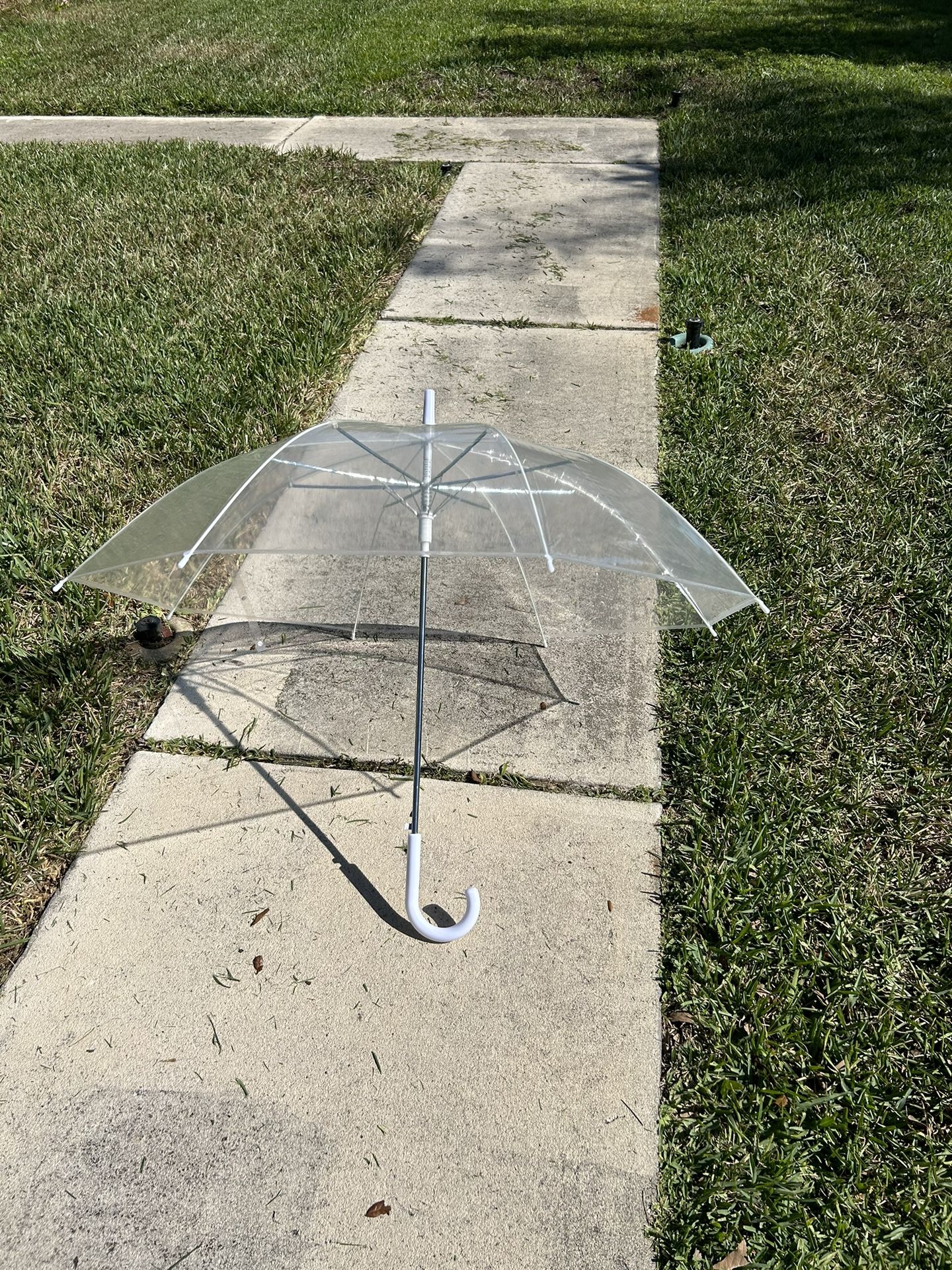 Umbrellas Wedding 