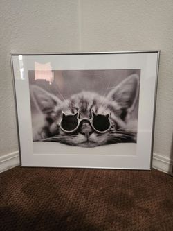Black & White KOOLKAT Photograph