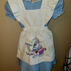 Vintage Alice In Wonderland Disney Dress  6x
