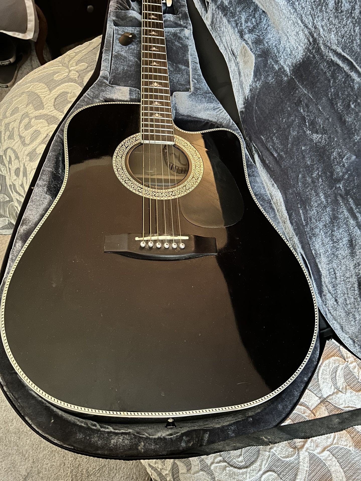 Esteban Guitar Collectors Edition