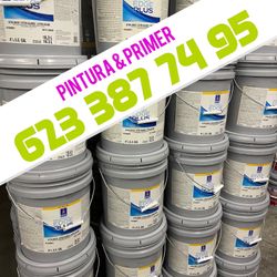 White Eggshell Flats Paints 