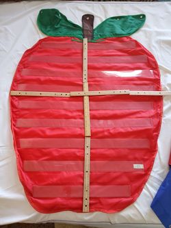 Pocket charts 5dlrs each one, good quality/hablo español