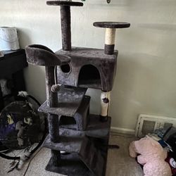 Cat Tree For Kittens 