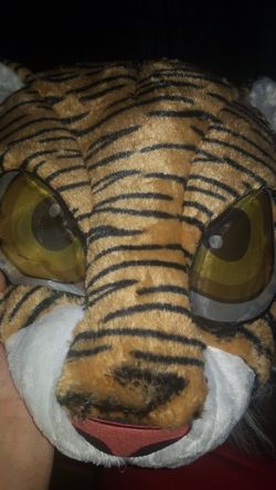 Tiger head