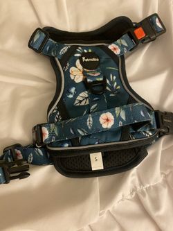 Dog harness