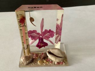 Lucite Acrylic Mini 2.5” Desk - Shelf Thermometer 1950s Hawaii Souvenir Seashells