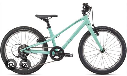 Specialized Jett 20 Kids Mountain Bike