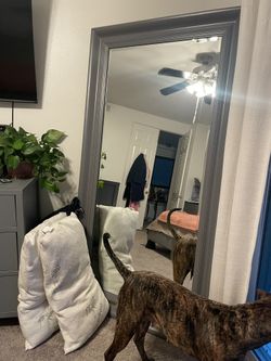 Large Mirror