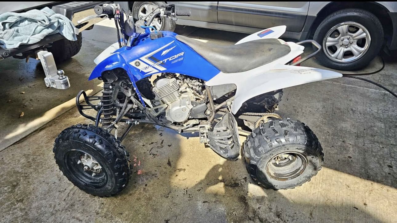 2013 Yamaha Raptor 125cc