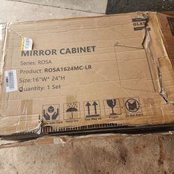 Mirror Cabinet 