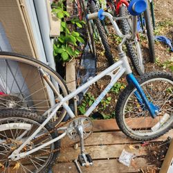 1981? Schwinn mini-thrasher BMX bike smaller mini size for parts or restore silver

Classic bit of BMX history.  