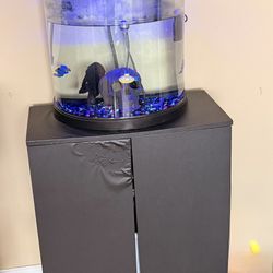 Fish Tank With Stand 