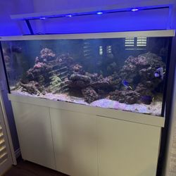 Red Sea Max S 650 Complete Reef System 