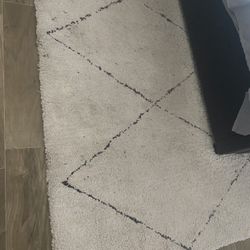 Area Rug