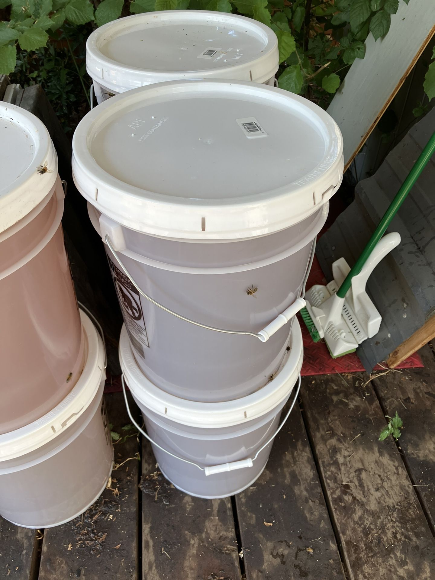 Bulk 5 Gallon Buckets Of Fireweed Honey