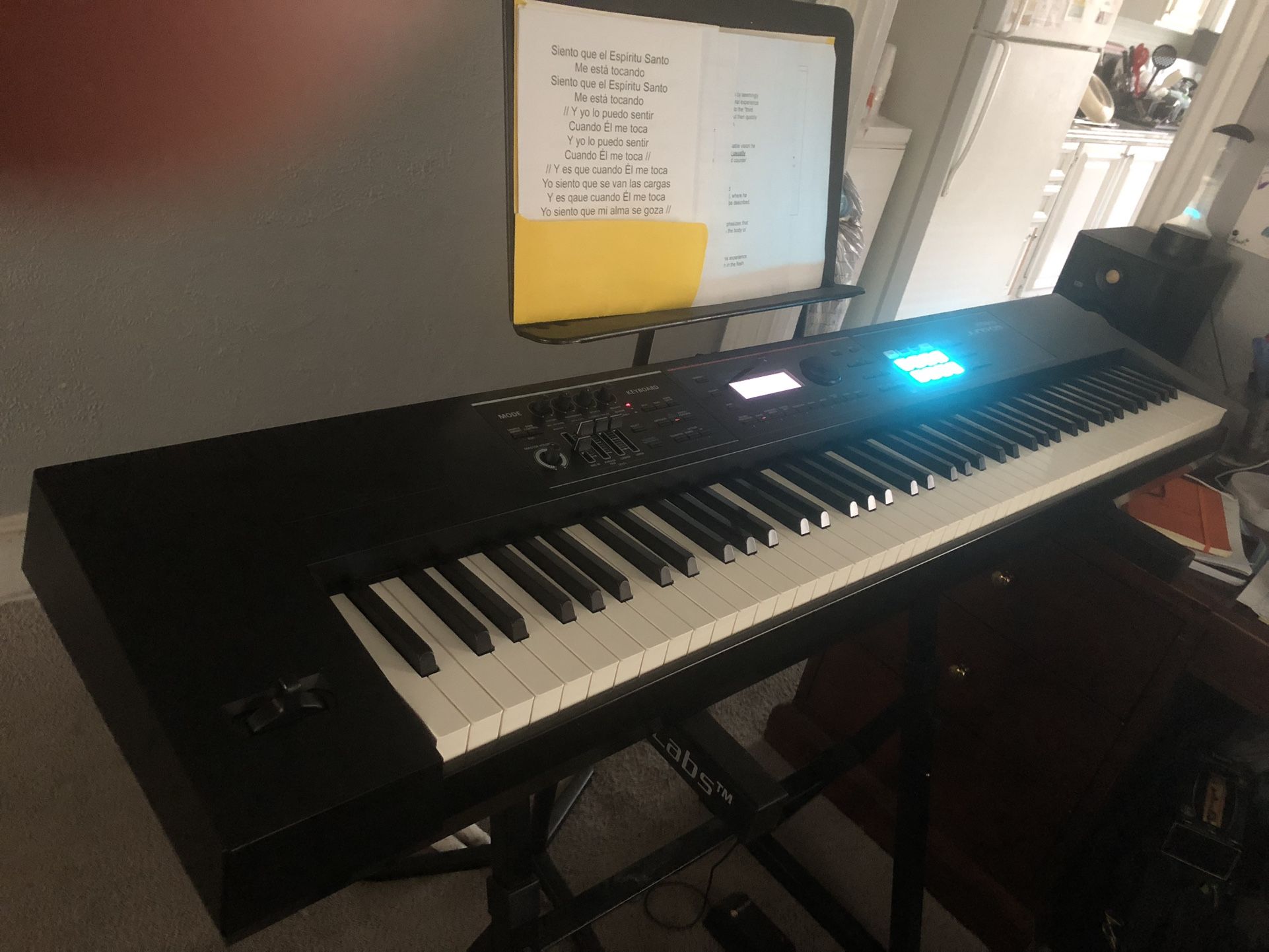 Roland Juno DS 88 Keys Synthesizer with workstation Capabilities