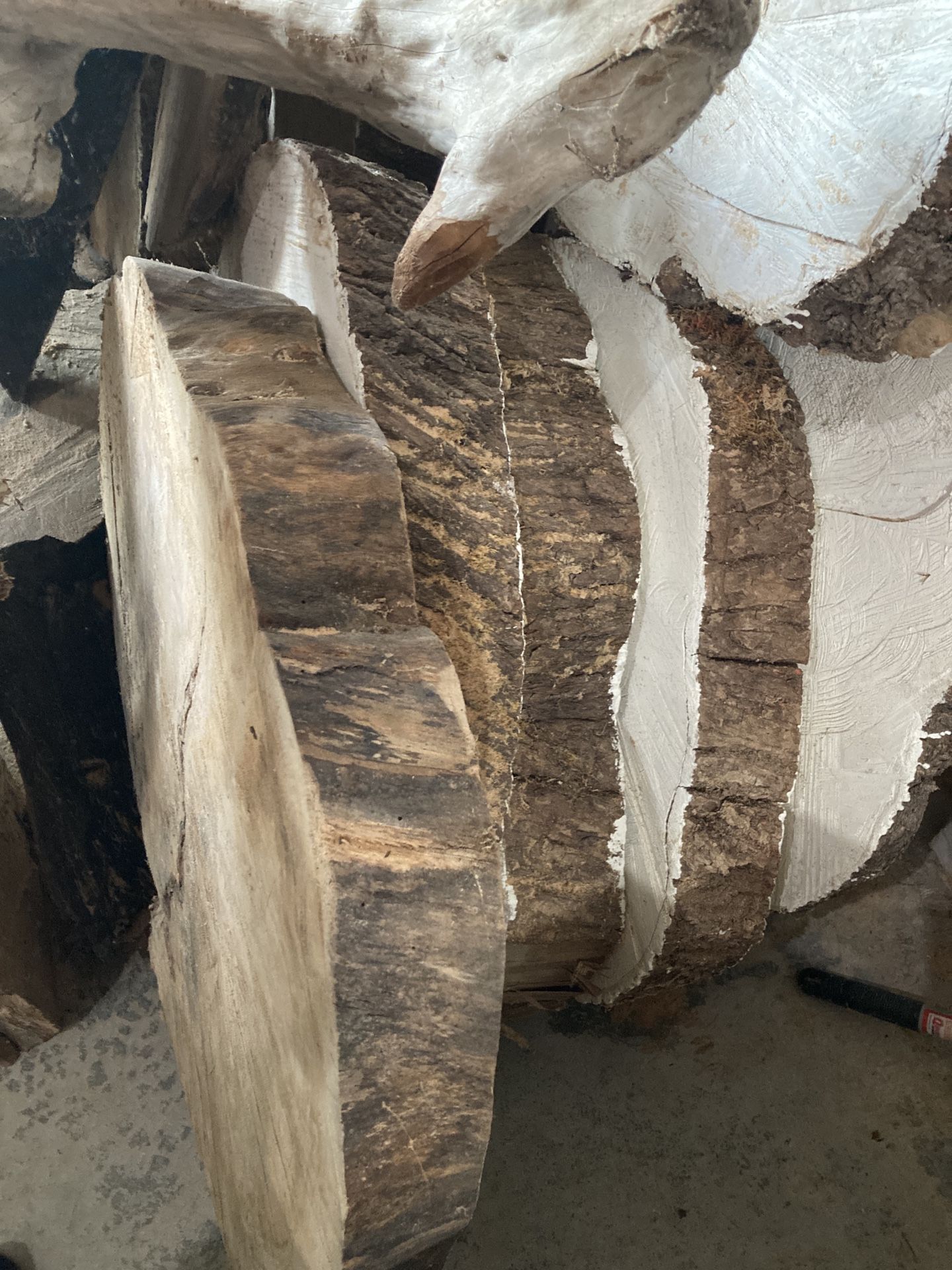 Maple slabs for making live edge furniture! Bulk pricing!