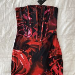White Fox Boutique Red Corset Dress