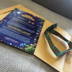 BEYOND WONDERLAND CA