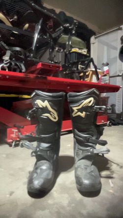 alpine star boots